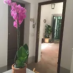 Апартаменты Casa E Risorgimento Пиза