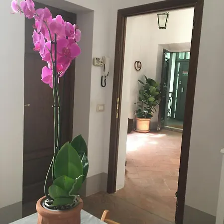 Apartment Casa E Risorgimento Pisa