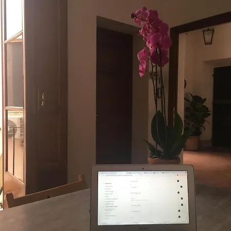 Appartement Casa E Risorgimento Pisa